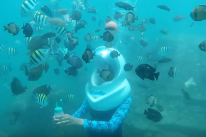 Undersea Walk Excursion in Mauritius