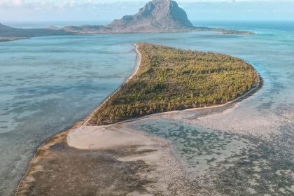 Benitier Island Trip