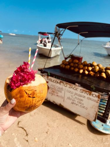 WhatsApp Image 2025-02-11 at 9.52.44 AM (1)